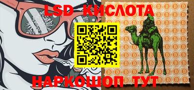 индика Ставрополь