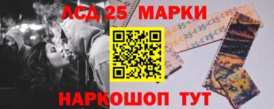 амф Сланцы