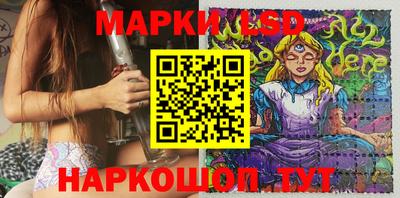 амф Сланцы