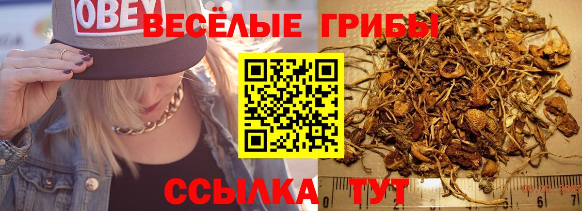 сколько стоит  Галлюциногенные грибы прущие грибы  Вход с VPN  Асбест 